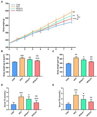 Supplementation of Lactobacillus plantarum ATCC14917 mitigates non-alcoholic fatty liver disease in high-fat-diet-fed rats